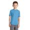 Port & Company  Youth Performance Blend Tee. PC381Y