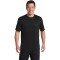Hanes  Cool Dri  Performance T-Shirt. 4820