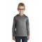 Port & Company  - Youth Core Fleece Pullover Hooded Sweatshirt. PC90YH