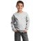 Port & Company  - Youth Core Fleece Crewneck Sweatshirt. PC90Y